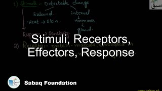 Stimuli Receptors Effectors Response Biology Lecture  Sabaqpk [upl. by Merrily]