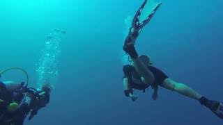 Frogatta Reef amp Wreck Bayahibe Dominican Republic [upl. by Ahsiea953]