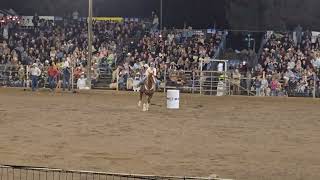 Poway Rodeo 2024 JR Barrel Racing Natalie Antonelli [upl. by Yla]