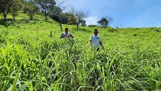 terreno de 30 manzanas de venta en azacualpa Santa Ana4500 por manzana interesados1 2403839975usa [upl. by Nalo]