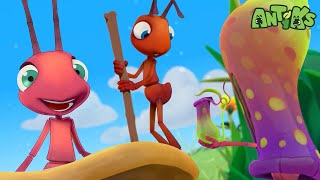 Mystery Mix  🐛 Antiks 🐜  Funny Cartoons for Kids  Moonbug [upl. by Naimaj957]