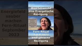 Was bezweckt eine energetische Reinigung  Energien im Körper System bereinigen  Reinigung Ritual [upl. by Nnayd544]