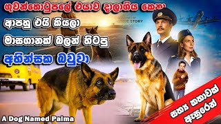 ඔයත් සතෙක් හදනවනම් මේ වගේ වැඩ කරන්න එපා  A Dog Named Palma  Movie Explain In Sinhala [upl. by Rafe13]