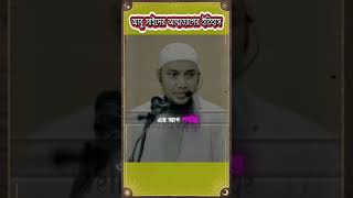 আবু সাইদ রাহিমাহুল্লাহর আত্মত্যাগ এবং বিদ্রোহের অগ্নি  আবু ত্বহা আদনান  WellnessVoyage101 [upl. by Ayak]