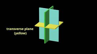 Understanding Planes and Axes of Motion [upl. by Rezal]