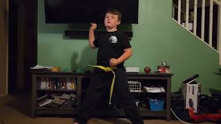 Watch and learn karate with me Combination 1 [upl. by Leinadnhoj559]