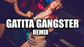 GATITA GANGSTER REMIX KAROL G DEI V ✘ LUMIIX DJ [upl. by Hally464]