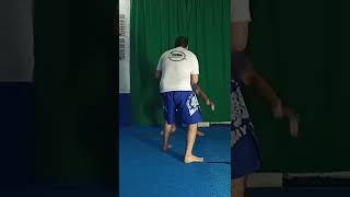 Defensa de Double Leg a Fujiwara Armbar shorts [upl. by Vinay]