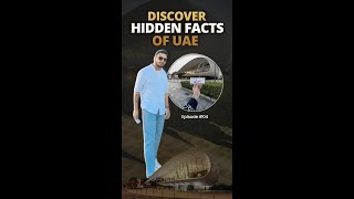 Exploring DUBAIS Hidden Gems EP4 dubai explore exploredubai [upl. by Atilem]