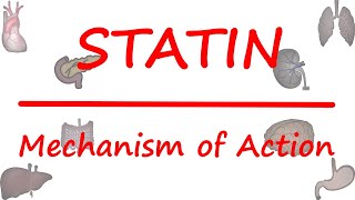 Statins  HMG CoA inhibitors Mechanism of action of statins  in hindi [upl. by Halak]