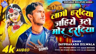 AUDIO  हरदिया दरदिया  Jayprakash Dilwala  Bhojpuri दर्दभरा गीत 2024  Hardiya Dardiya Sad Song [upl. by Esele807]