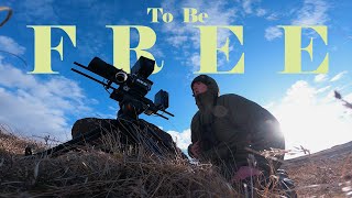 To Be Free  Wildlife Film by Tom Stormont [upl. by Leigh]