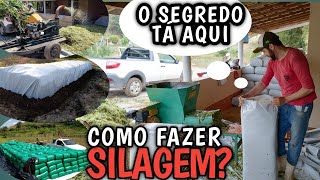 como fazer silagem de milho ensacada todas as dicas que não te contaram passo a passo [upl. by Elinor]