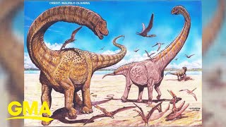 2 new dinosaur species discovered in Northwest China l GMA [upl. by Anekahs663]