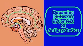 Dopamine Pathways In Context Of Antipsychotics [upl. by Fulbright]