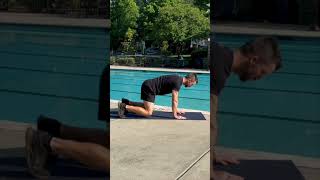 Freestyle Pull Exercise  Bear Plank [upl. by Neelehtak]