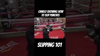 Slipping punches canelo caneloalvarez boxinggym [upl. by Llednar]