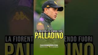 PALLADINO E IL MOMENTO D’ORO CON LA FIORENTINA calcionews24 fiorentina [upl. by Nirol]