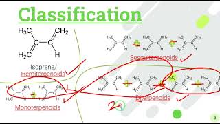 Terpenoids Isoprenoids isoprene polymers  Introduction Classification and biosynthesis and rules [upl. by Irakab306]