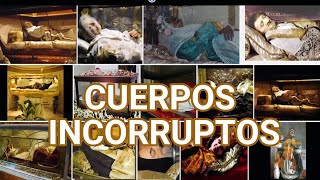 SANTOS INCORRUPTOS los incorruptibles [upl. by Seraphina353]