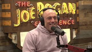 Joe Rogan  New aliens hypothesis  with Duncan Trussell [upl. by Sessylu273]