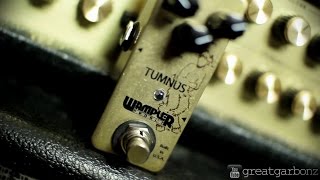 Wampler Tumnus Overdrive Pedal Demo [upl. by Annovad]