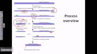 Nested PCR [upl. by Jervis90]