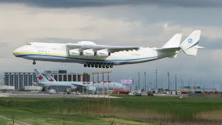 Worlds Largest Aircraft Antonov An225 Mriya Landing at Toronto Pearson Airport YYZ [upl. by Ahsiym]