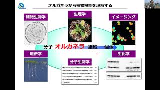 オルガネラ制御研究室 研究室紹介（基礎生物学研究所 大学院説明会2024） [upl. by Arrej847]