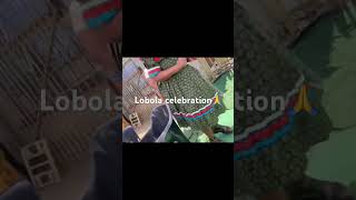 Lobola celebration southafricanyoutuber vlog lobola [upl. by Rochester136]