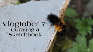 Vlogtober 7 Curating a Sketchbook [upl. by Merkle544]