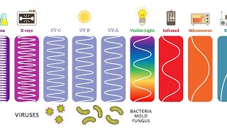 Ultraviolet UV Can Kill Bacteria amp Viruses – Learn The Basics [upl. by Calley]