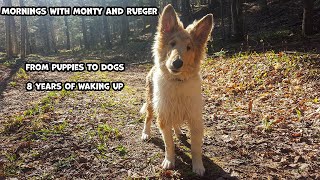 Mornings With Monty And Rueger  From Puppies To Dogs  8 Years Of Waking Up [upl. by Eetnod313]