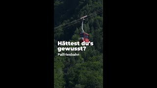 Hättest dus gewusst Fakten zur Palfriesbahn im Heidiland [upl. by Naltiak]