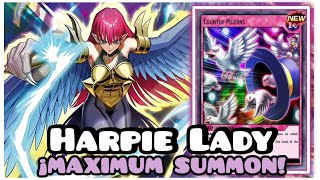 HARPIE LADY RUSH DECK YUGIOH DUEL LINKS [upl. by Balfore]