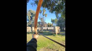 Shooting my traditional recurve salukibow 51lbs 28in for the first time traditionalarchery [upl. by Etnad]