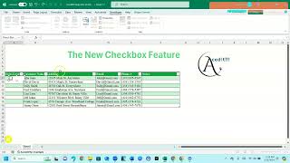 Excel New Checkbox Feature [upl. by Canica]