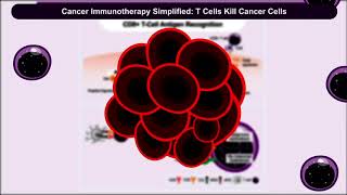 Deep Insight Into ImmunoOncology Immunotherapy Pathways Targets and Biomarkers [upl. by Bridgette]