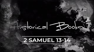 Historical Books  2 Samuel 1314 [upl. by Domineca]