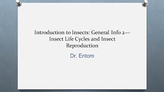 Introduction to Insects General Info 2 [upl. by Pliner452]