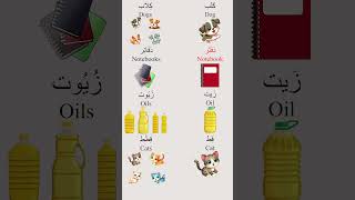 Broken Plural in the Arabic Language4 [upl. by Latt]