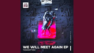 We Will Meet Again Extended Mix [upl. by Azitram]