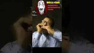 Bella Ciao Harmonica Cover BellaCiao FolkMusic InstrumentalMusic MoneyHeist LaCasaDePapel [upl. by Drummond]