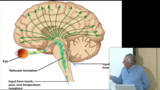 Consciousness amp Physiology I [upl. by Aenotna]