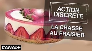 La chasse au fraisier  Action Discrète [upl. by Etteraj]