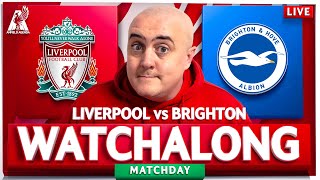 LIVERPOOL 21 BRIGHTON LIVE WATCHALONG with Craig [upl. by Wilber]