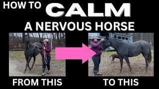 How To Calm a Nervous Horse [upl. by Elletsirhc646]