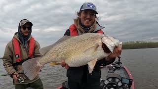 Grand Slam aux Lac St Pierre avec Jay Chalifour [upl. by Youngman]