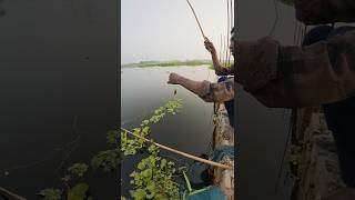 বিলের টানে টানে পুটি মাছ ধরা দেখুন villegefishing fishingjagat পুটিমাছ villagefishinglife [upl. by Enotna]