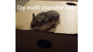 How to make a multi chamber hide for a hamster 🐹 [upl. by Perlis]